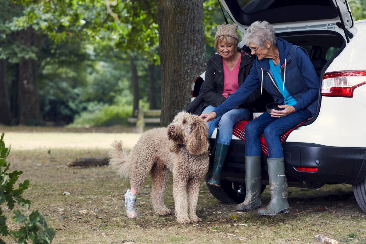 Two women pet a dog while sitting in the boot of a car